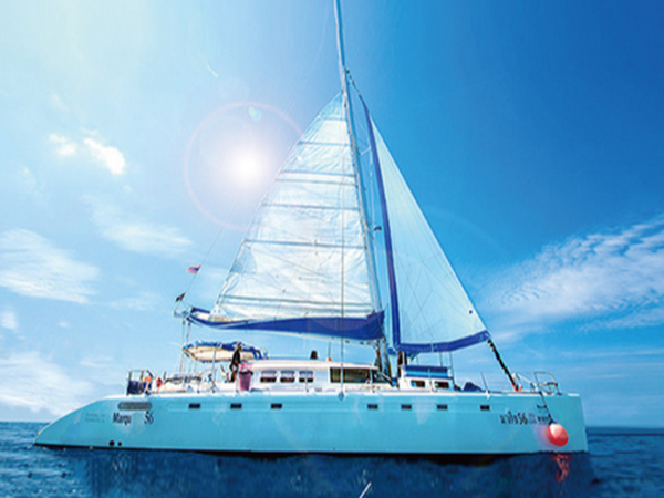 祝贺！上海昌运加入上海市排水行业协会